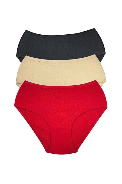Easy Tedarik 3 Pieces Women's High Waist Ribbed Bato Panties S027