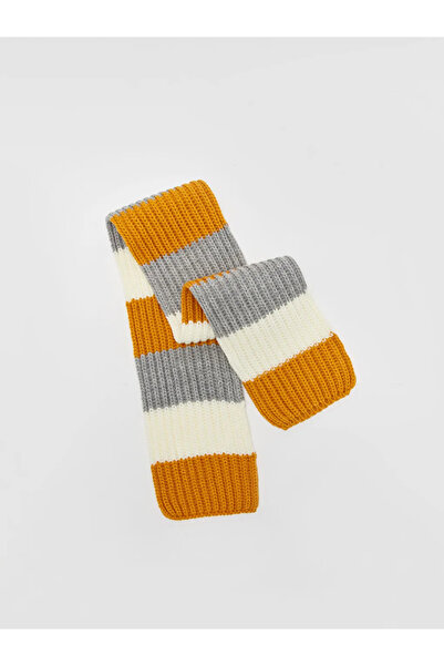 LC Waikiki LCW baby Karışık Renk Bloklu Erkek Bebek Atkı