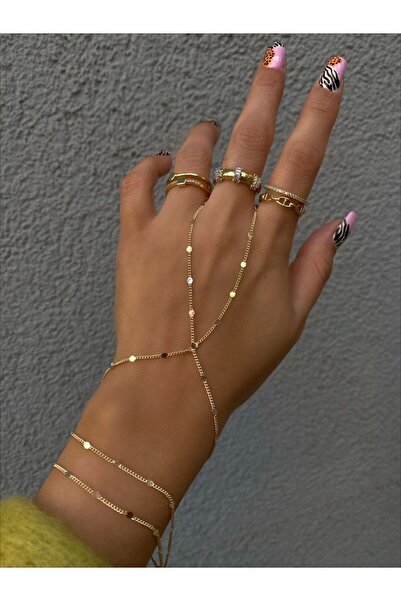 stainles steel 316L Çelik Pul Detay Şahmeran