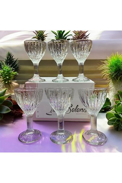 DAFE HOME Selena 6-Piece Standing Coffee Water Glass