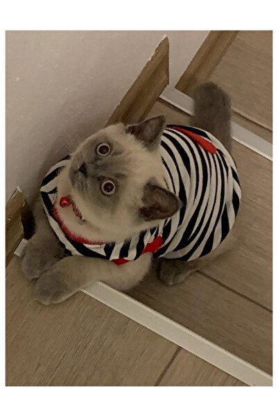 Gobo Cat and Dog Outfit with Red Black Stripes - XXL Large Size 5