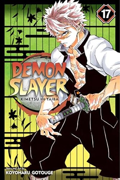 Viz LLC Demon Slayer Kimetsu No Yaiba Vol 17