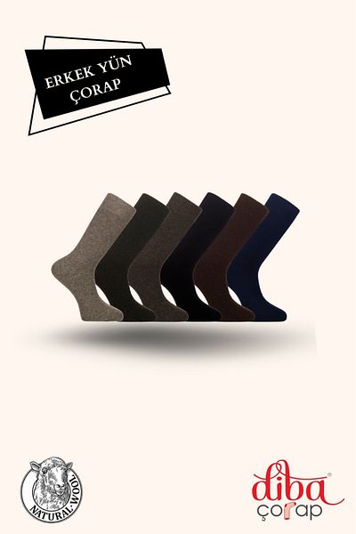 Diba Set of 6 Men's Wool Socks