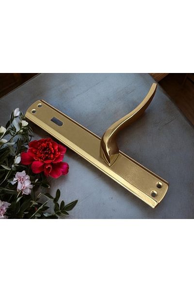 KOLDOOR Mother of Pearl Titanium Luxury Mirrored Room Door Handle 1 Set Stylish and Durable