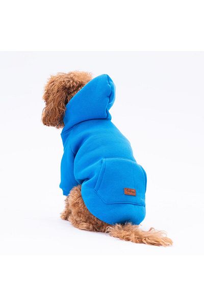 Pettrend Blue Kangaroo Pocket Cat-Dog Hoodie- Sweatshirt Cat Dog Outfit