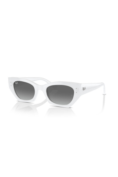 Ray-Ban Rb 4430 675911 49 Zena Sunglasses