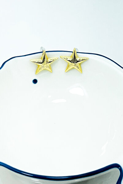 TRENDTAKI hediye küçük yıldız küpe gold kaplama 0123