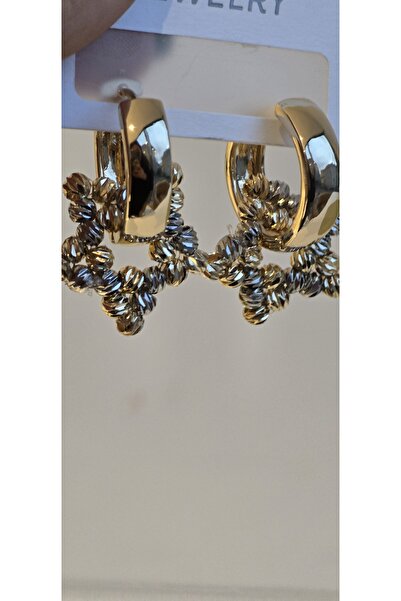 Lioon Yıldız iki renk küpe