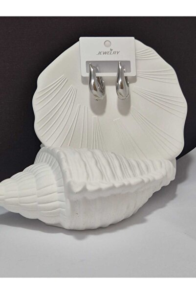 Ekc style Kadın Gümüş Renk Küpe