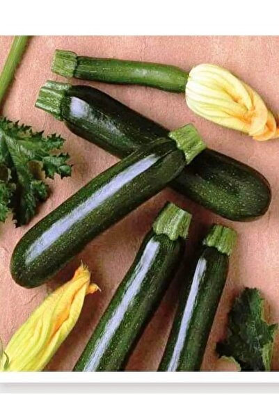 AKSARAY TOHUMCULUK Kara Kabak Tohumu 30 Adet Tohum Aksaray Tohumculuk