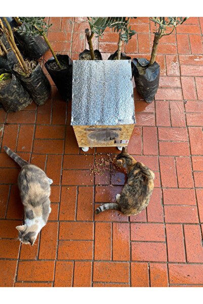 narım أبعاد فتحة القط الخشبية الخارجية والداخلية: 35x40x35