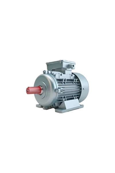Volt 2.2 Kw 3 Hp 1500x380 Marka Trifaze Elektrik Motoru V3ea 100 L4a