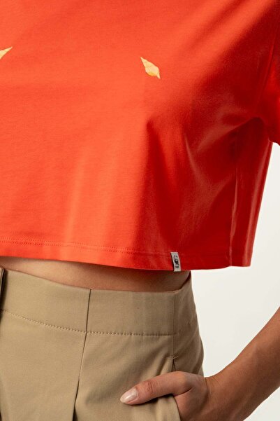 WWF Market Seashells Lightweight Crop T-Shirt - Pomegranate Flower