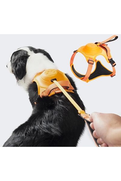 BAUWELT Comfortable and Comfortable Automatic Gathering Dog Collar - Body and Breast