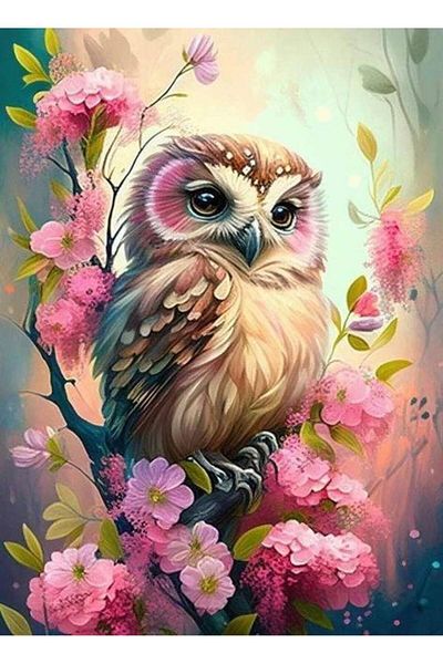 Marcel Kristal Tablo Owl 36X51Cm Marcel Art Diamond Mosaic Painting
