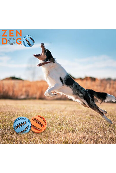 ZENDOG ZEN DOG Eğlenceli ve Sağlıklı - Köpekler İçin Oyuncak Topu - Mamalı Top - Diş Temizleme Topu