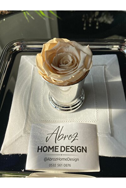 ABROZ HOME DESIGN Trandafir șocat care nu se decolorează / Cremă