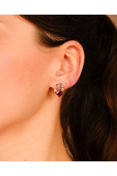 Lekka Design Women's Jewelry Non-Tarnish Steel Luxury Red Zircon Stone Starry Earrings