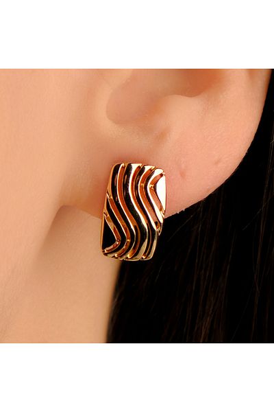 Lekka Design Stylish Modern Women's Earrings - Steel