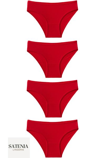 SATENIA LINGERIE New Year's Cotton Bikini Panties - 4 Pack Women's Casual Design