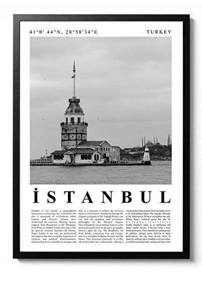 Taranist Poster İstanbul Posteri Siyah Beyaz City