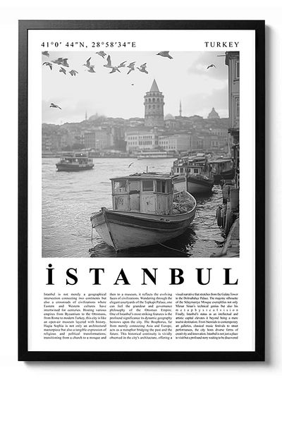 Taranist Poster Istanbul Poster Black White City
