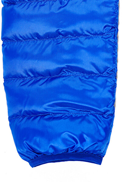 Lacoste Blouson - Χαλαρή εφαρμογή Κομψή σχεδίαση για το χειμώνα