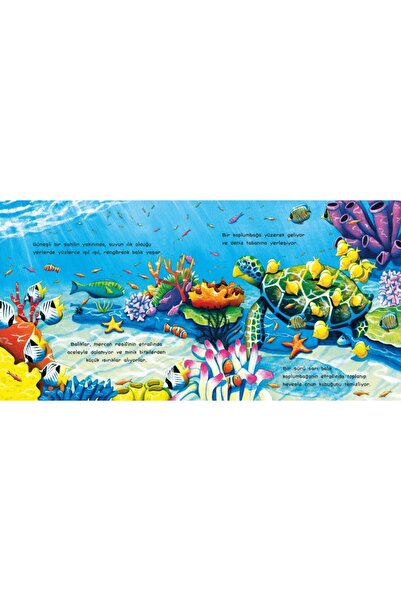 Tübitak Yayınları OKUL ÖNCESİ VE ANAOKULU İÇİN-Denizin Altında