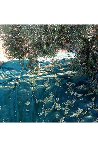 Titanium Professional Brand Titanium Zeytin Toplama Filesi 75'Lik 6*12 Metre ...