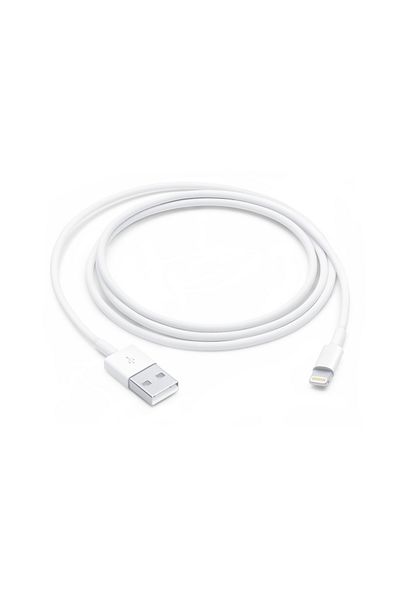 Apple Lightning to USB Cable (1m)
