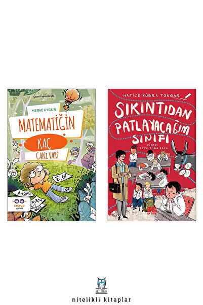 Aile Yayınları Matematiğin Kaç Canı Var?/Merve Uygun - Sıkıntıdan Patlayacağım Sınıfı