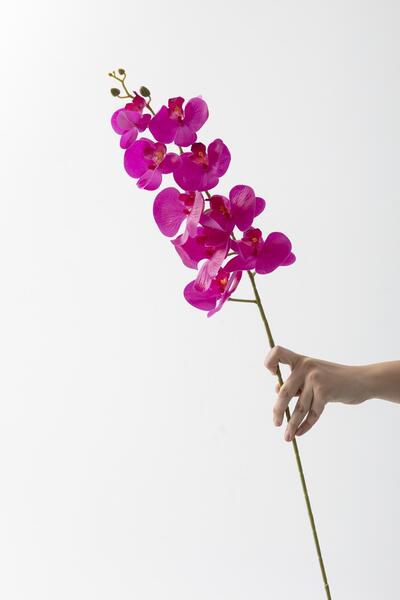 Güleç Yapay Çiçek Yapay Islak Orkide Çiçeği Fuşya Tek Dal