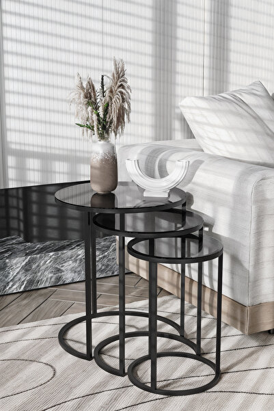 Dekoport Milas C Zigon Sehpa Temperli Füme Cam