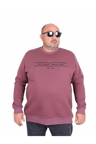 Starbattal Φούτερ Lilac Plus Size - 3ip Original, Νέος γιακάς, 24203