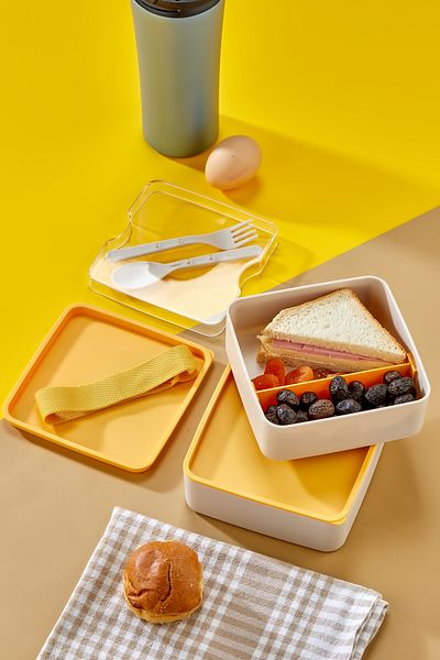 Nefiz Home Practical and Fashionable Lunch Box 2-Tier Compartments with Spoon and Fork Set, Portable Food Storage Container
