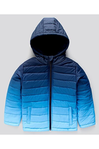 Primo Gino Primo Gino Polyester Full Sleeves Hooded Padded Jacket - Navy & Light Blue