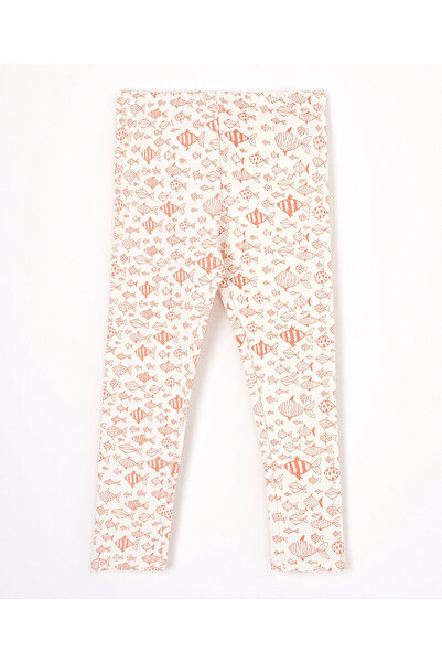 Bonfino 5 Pack Leggings - Multicolor