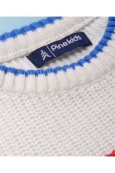 Pine kids Pine Kids Knitted Full Sleeves Color Block Designed Sweater - White