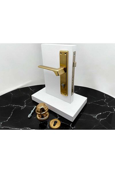 KOLDOOR Zey Matte Gold Steel Door Handle Left Press + Door Knob Exclude Lock