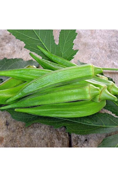 AKSARAY TOHUMCULUK Okra Bamya Tohumu 25 Adet Tohum Aksaray Tohumculuk
