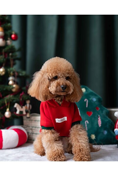 Lorico Köpek Yılbaşı Sweatshirt