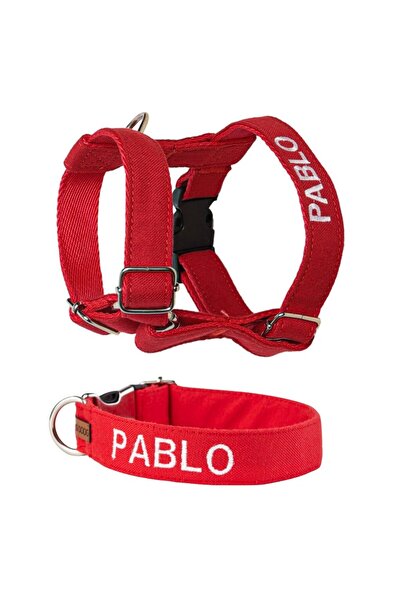 Lusi Doog Güvenlik Amaçlı Numaralı İsimli Köpek Göğüs Tasması İsimli Boyun Tasması (2'li Köpek Tasma Seti)