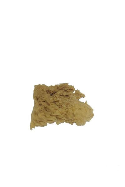 Cenova Art Natural Sea Sponge No:1