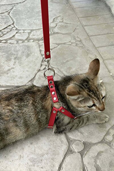 soonaksesuar Leather Cat, Cat Walking Collar - Npc005