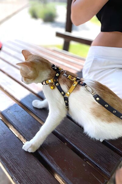 soonaksesuar Yellow Navy Blue Fanatic Cat Collar, Cat Walking Collar, Cat Chest Collar - Npc003