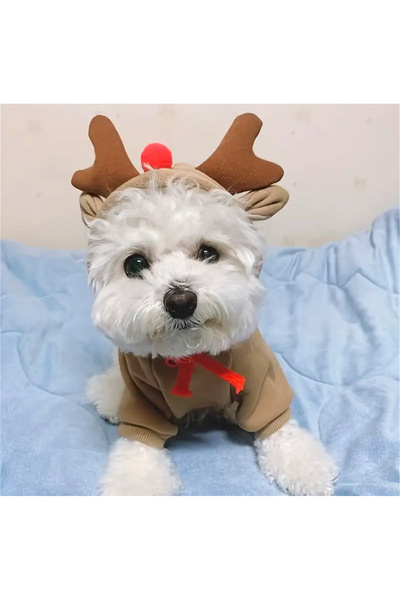 doğuconcept Ren Geyiği Noel Kostümü