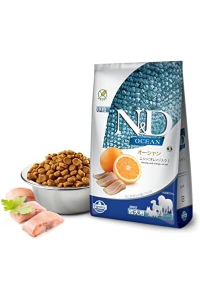 N&D Ocean Köpek Ringa Balığı & Portakal Yetişkin Mini 2.5 Kg