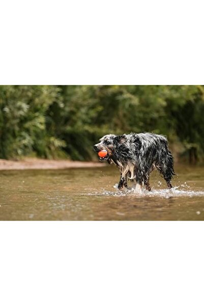 Genel Markalar ! Fetch Medley Gen 3 (ULTRA BALL, FETCH BALL, RUGGED BALL) 3'lü Köpek Oyun Topu Seti (orta Bo