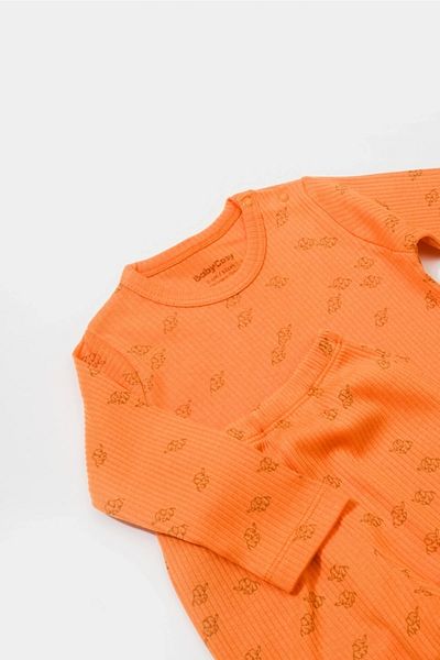 BabyCosy Set 3 piese pentru bebeluși (PANTALONI, TRIOC MÂNECĂ LUNGĂ, PĂLĂRIE), Seria pentru bebeluși și nou-născuți - Csym25505
