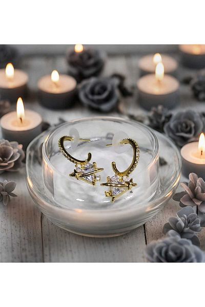 MR Zircon Stone Steel Heart Earrings
